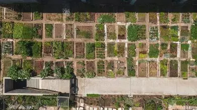 Aerial view of an allotment
