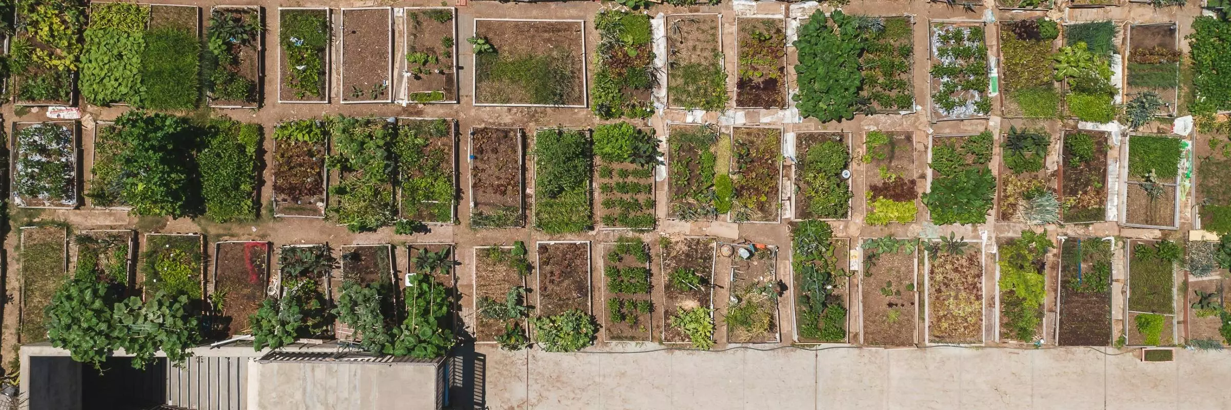 Aerial view of an allotment